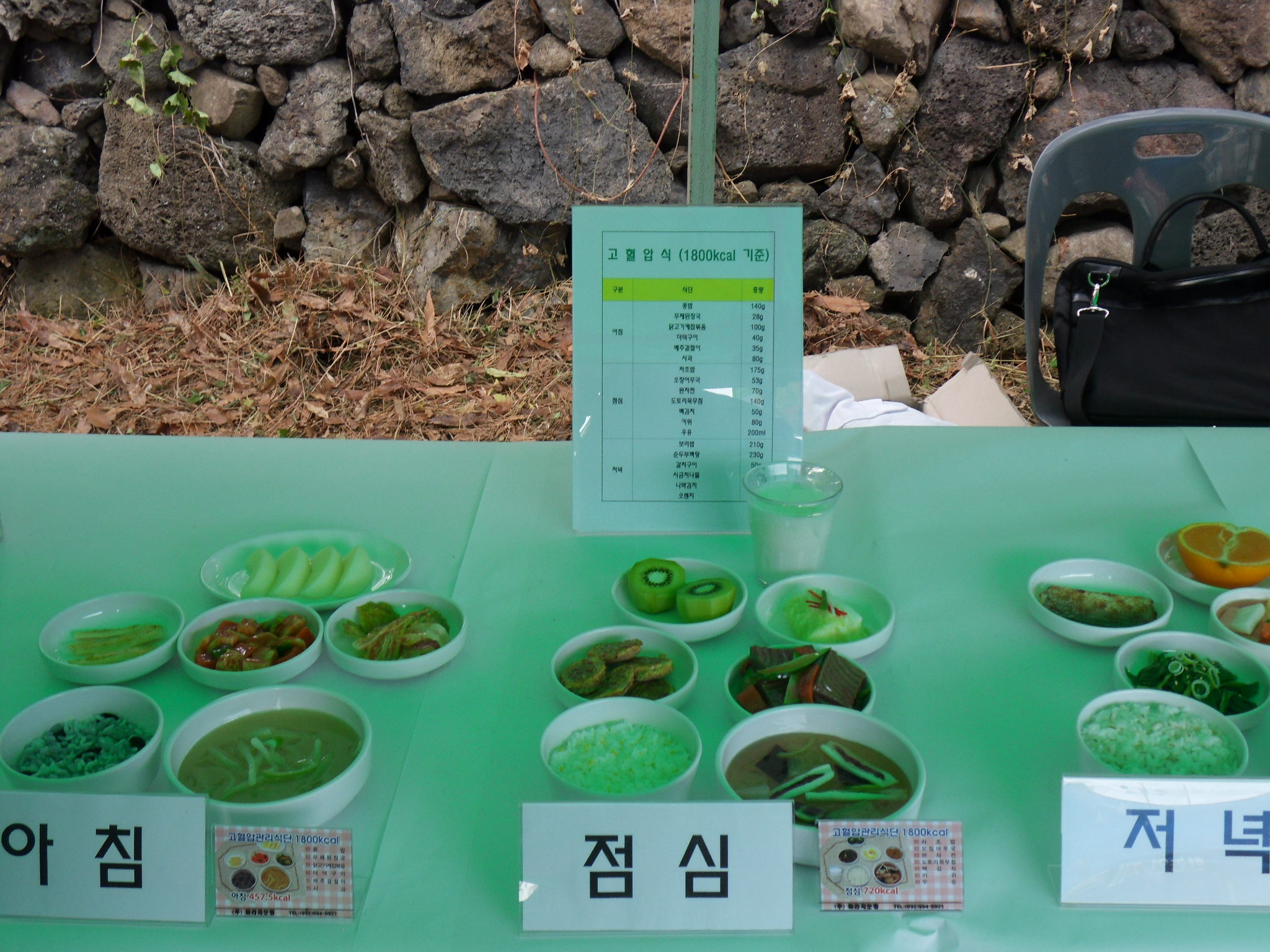 제16회 영양상담(2013)